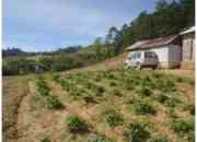 Vendo finca cerca de contanza